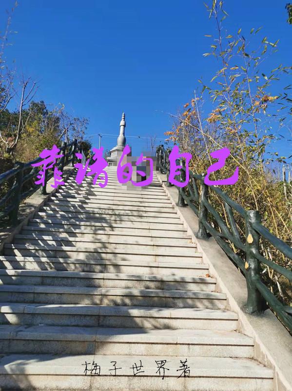 靠谱的汽车网站